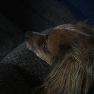 Meet your Posher, Lynn